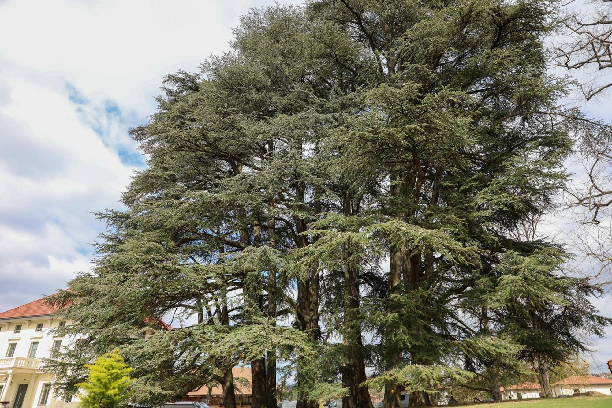 Sequoias Golf & Ressort Hotel Ruy-Montceau Bagian luar foto